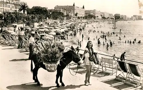 AK / Ansichtskarte Cannes_Alpes Maritimes Plage Croisette Esel Cannes Alpes Maritimes