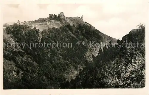 AK / Ansichtskarte Lichtenburg Burgruine Lichtenburg