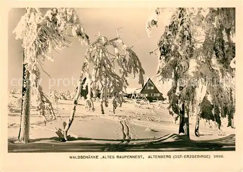 AK / Ansichtskarte Altenberg_Erzgebirge Waldschaenke Altes Raupennest Altenberg Erzgebirge