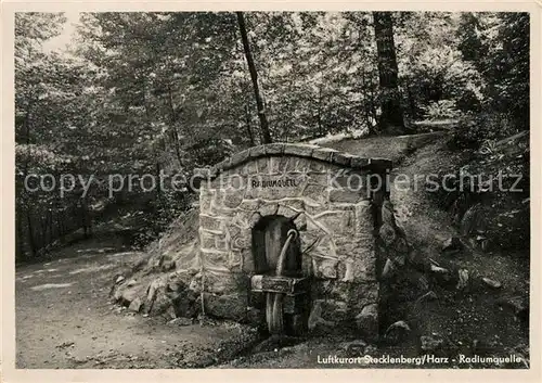 AK / Ansichtskarte Stecklenberg Radiumquelle Stecklenberg