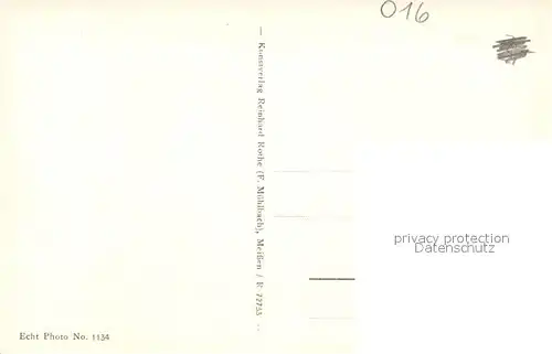 AK / Ansichtskarte Meissen_Elbe_Sachsen Panorama Blick von den Proschwitzer Hoehen Albrechtsburg und Dom Meissen_Elbe_Sachsen