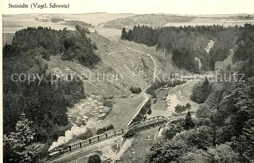 AK / Ansichtskarte Steinicht Landschaftspanorama Steinicht