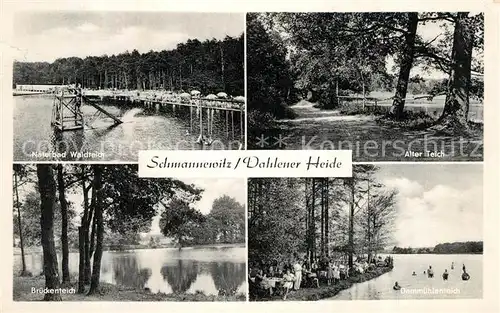 AK / Ansichtskarte Schmannewitz Naturbad Waldteich Alter Teich Brueckenteich Dammuehlenteich Schmannewitz