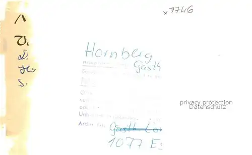 AK / Ansichtskarte Hornberg_Schwarzwald Gasthof Loewen Hornberg Schwarzwald