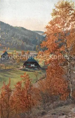 AK / Ansichtskarte Hornberg_Schwarzwald Herbststimmung Hornberg Schwarzwald