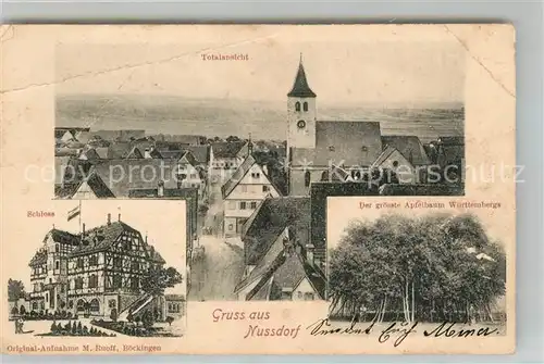AK / Ansichtskarte Nussdorf_ueberlingen Panorama Schloss groesster Apfelbaum Baden Wuerttemberg Nussdorf ueberlingen
