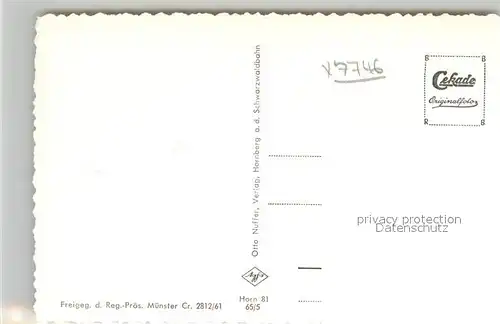 AK / Ansichtskarte Hornberg_Schwarzwald Fliegeraufnahme Hornberg Schwarzwald