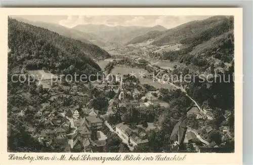 AK / Ansichtskarte Hornberg_Schwarzwald Blick ins Gutachtal Fliegeraufnahme Hornberg Schwarzwald
