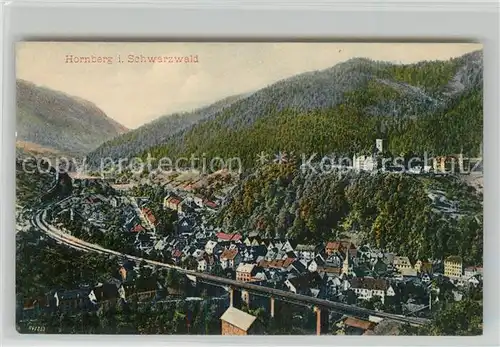 AK / Ansichtskarte Hornberg_Schwarzwald Panorama Schlossberg Hornberg Schwarzwald