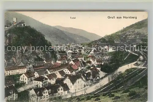 AK / Ansichtskarte Hornberg_Schwarzwald Panorama Hornberg Schwarzwald