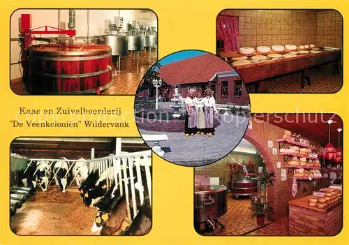 AK / Ansichtskarte Wildervank Kaas en Zuiverlboerderij Fam. van Bussel Frauen in Tracht Kuehe Wildervank