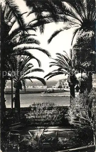 AK / Ansichtskarte Nice_Alpes_Maritimes Vue sur le port a travers les palmiers Nice_Alpes_Maritimes