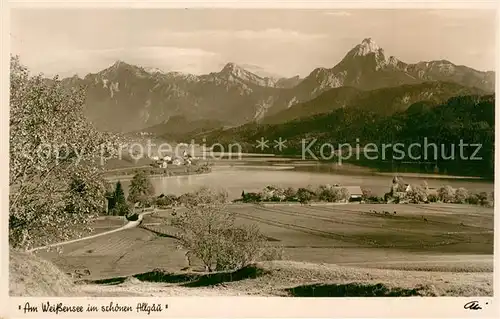 AK / Ansichtskarte Weissensee_Fuessen Landschaftspanorama Alpen Weissensee Fuessen