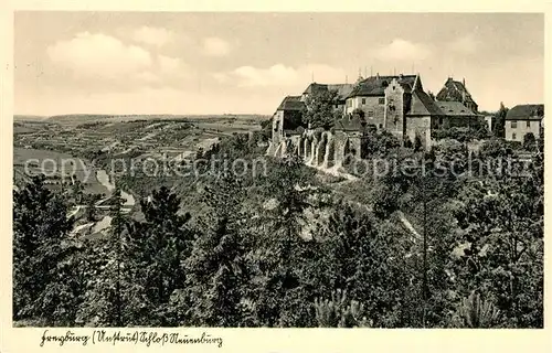 AK / Ansichtskarte Freyburg_Unstrut Schloss Neuenburg Fernsicht Landschaftspanorama Freyburg_Unstrut