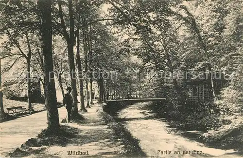 AK / Ansichtskarte Wildbad_Schwarzwald Partie an der Enz Wildbad_Schwarzwald