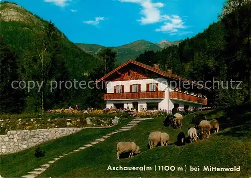 AK / Ansichtskarte Mittenwald_Bayern Aschaueralm Mittenwald Bayern