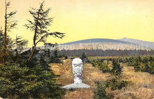 AK / Ansichtskarte Rehefeld Zaunhaus Alter Grenzstain Landschaftspanorama Photochromie Serie II Rehefeld Zaunhaus