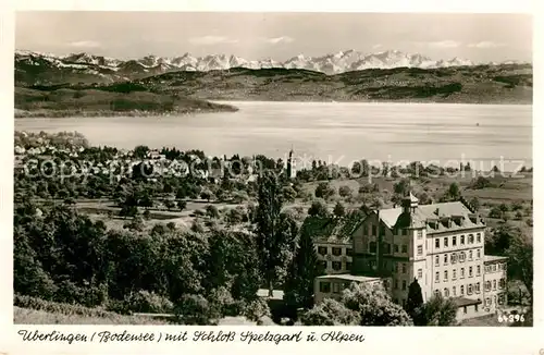 AK / Ansichtskarte ueberlingen_Bodensee Schloss Spetzgart mit den Alpen ueberlingen Bodensee