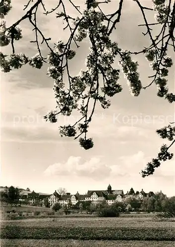 AK / Ansichtskarte Salem_Baden Blick ueber die Felder zum Schloss Salem_Baden