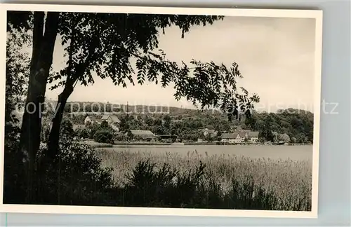 AK / Ansichtskarte Wallhausen_Bodensee Uferpartie am See Wallhausen Bodensee