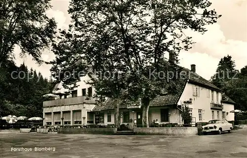 AK / Ansichtskarte Blomberg_Lippe Forsthaus Blomberg Blomberg Lippe