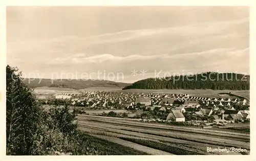 AK / Ansichtskarte Blumberg_Baden  Blumberg_Baden