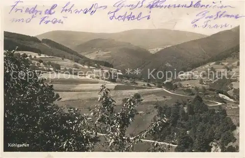 AK / Ansichtskarte Wies_Wiesental Koehlgarten Wies Wiesental