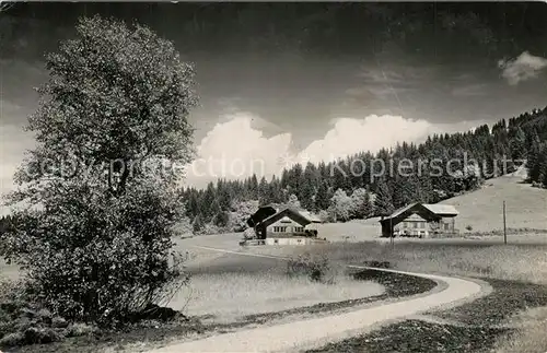 AK / Ansichtskarte Schoenried  Schoenried