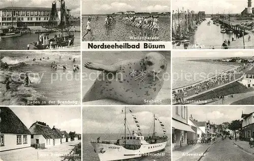 AK / Ansichtskarte Buesum_Nordseebad Am Hafen Wattenparade Brandungsbaden Seehund Fliegeraufnahme Fischerhaeuser Seebaederschiff Alleestrasse Buesum_Nordseebad