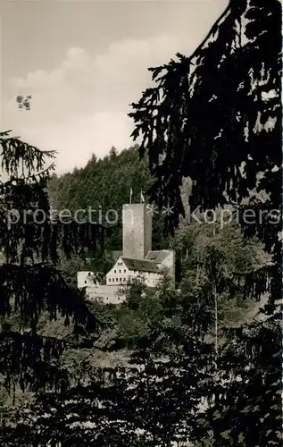 AK / Ansichtskarte Liebenzell_Bad Burg Liebenzell Liebenzell_Bad
