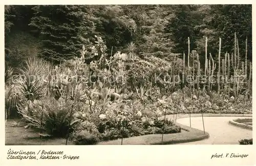 AK / Ansichtskarte ueberlingen_Bodensee Stadtgarten Kakteengruppe ueberlingen Bodensee