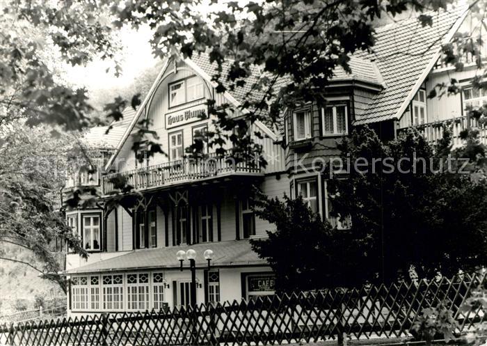 Ak Ansichtskarte Wernigerode Harz Haus Blume Wernigerode Harz Nr