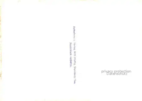 AK / Ansichtskarte Starnberg_See Schwaene  Starnberg See