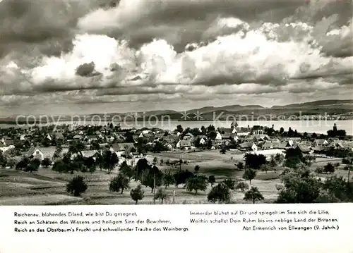 AK / Ansichtskarte Insel_Reichenau Fliegeraufnahme Insel Reichenau