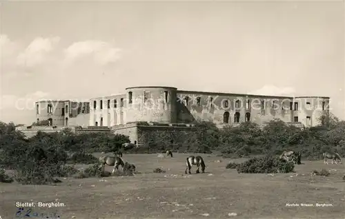AK / Ansichtskarte Borgholm Slottet Borgholm