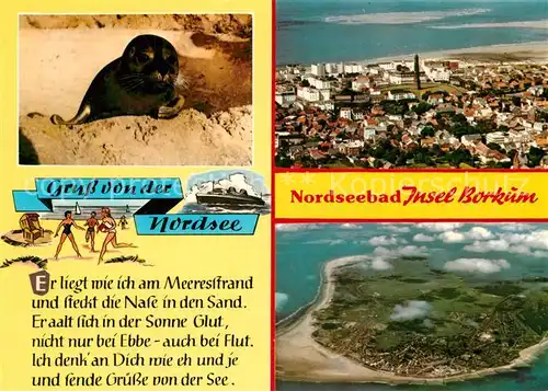 AK / Ansichtskarte Borkum_Nordseebad Seehund Nordseeinsel Fliegeraufnahme Borkum_Nordseebad