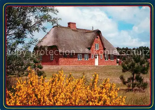 AK / Ansichtskarte Nebel_Amrum Friesenhaus Nebel Amrum