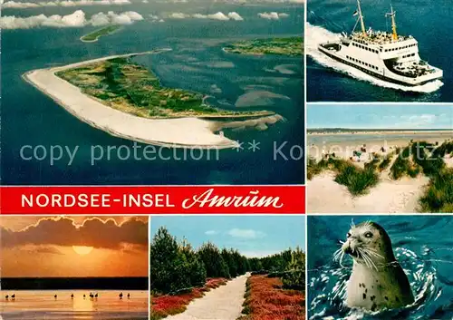 AK / Ansichtskarte Amrum Nordseeinsel Faehre Fliegeraufnahme Duene Seehund Heidelandschaft Sonnenuntergang am Meer Amrum