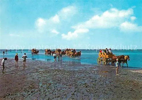 AK / Ansichtskarte Neuwerk_Cuxhaven_Nordseebad Wattenfahrt zur Insel Neuwerk Neuwerk_Cuxhaven