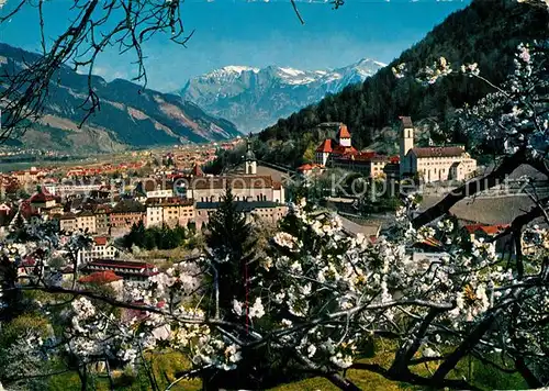 AK / Ansichtskarte Chur_GR Hof mit Blick zum Falknis Raetikon Baumbluete Chur_GR