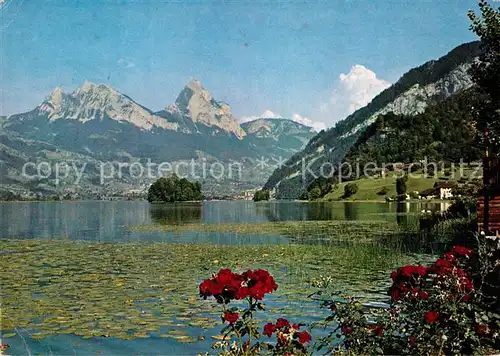 AK / Ansichtskarte Lauerz Uferpartie am Lauerzersee mit Mythen Schwyzer Alpen Lauerz