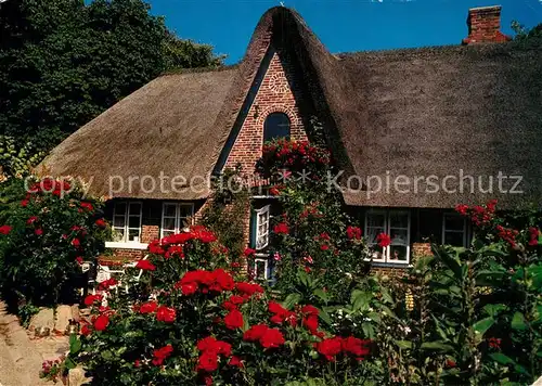 AK / Ansichtskarte Insel_Sylt Friesenhaus Insel_Sylt