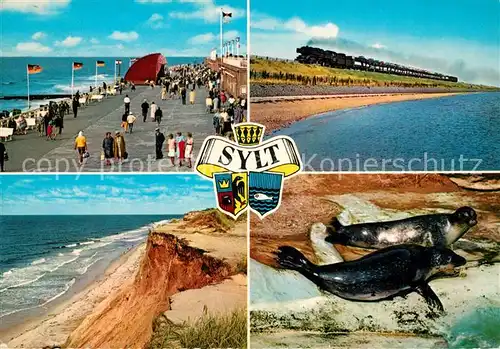 AK / Ansichtskarte Insel_Sylt Kurpromenade Hindenburgdamm Dampflokomotive Rotes Kliff Seehunde Wappen Insel_Sylt