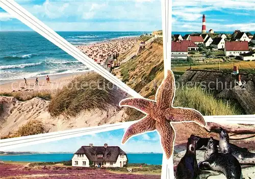 AK / Ansichtskarte Insel_Sylt Duenen Strand Ortsmotiv mit Leuchtturm Friesenhaus Seehunde Seestern Insel_Sylt