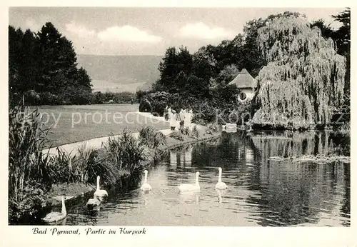 AK / Ansichtskarte Bad_Pyrmont Kurpark Schwaene Bad_Pyrmont