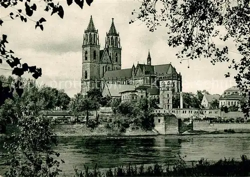 AK / Ansichtskarte Magdeburg Dom  Magdeburg