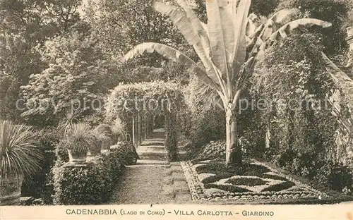 AK / Ansichtskarte Cadenabbia_Lago_di_Como Villa Carlotta Giardino Cadenabbia_Lago_di_Como