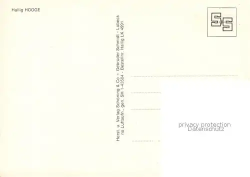 AK / Ansichtskarte Hallig_Hooge Fliegeraufnahme Hallig Hooge