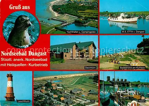 AK / Ansichtskarte Dangast_Nordseebad Seehund Yachthafen Campingplatz MS Etta Deichhoern Badestrand Kurhaus Leuchtturm Hafen Fliegeraufnahmen Dangast_Nordseebad