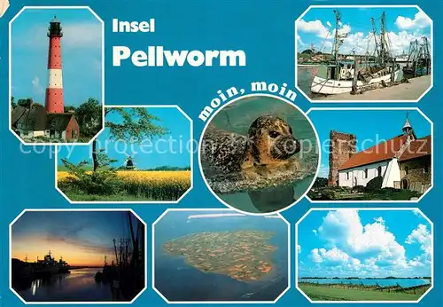 AK / Ansichtskarte Pellworm Leuchtturm Rapsfelder Seehund Hafen Fischkutter Landschaftspanorama Windmuehle Fliegeraufnahme Pellworm